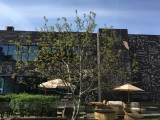 Apple iPhone SE camera samples - Apple iPhone SE review