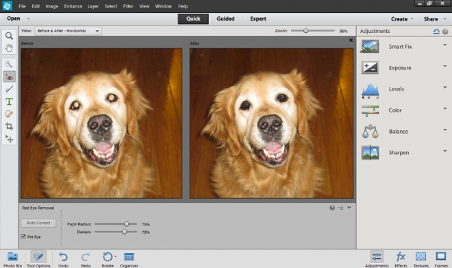 download adobe photoshop elements 12 for mac