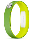 Sony Smartband SWR10