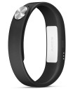 Sony Smartband SWR10