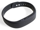 Sony Smartband SWR10