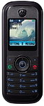 Motorola W205