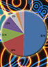 Bars and pie charts: a survey into mobile phone usage and owners