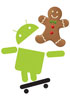 More details on the Android 3.0 a.k.a. Gingerbread requirements