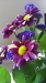 HTC One Sample