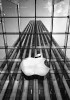 Apple found to infringe MobileMedia patents in US - read the full text