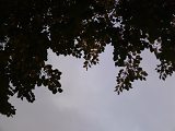 12 megapixel shootout