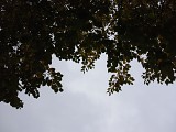 12 megapixel shootout