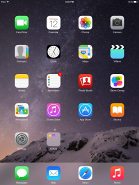 Apple iPad Air 2