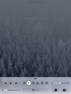 Apple iPad Air 2