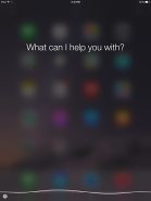 Apple iPad Air 2
