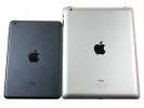 Apple iPad mini