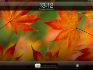 Apple Ipad Mini