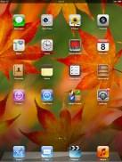 Apple Ipad Mini