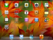 Apple Ipad Mini