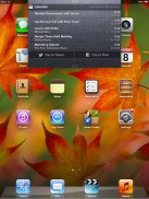 Apple Ipad Mini