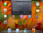 Apple Ipad Mini