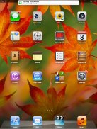Apple Ipad Mini