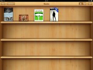 Apple Ipad Mini