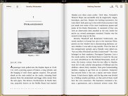 Apple Ipad Mini