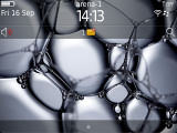 BlackBerry Bold Touch 9900