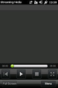 HTC HD mini