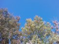 HTC TyTN II camera photos