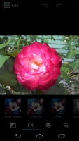 Motorola Droid Razr M