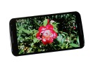 Motorola Moto X 2014