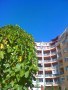 Camera photos of Motorola RAZR2 V8