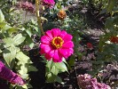 Nokia N9