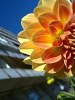 Nokia N97 mini camera sample