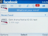 Nokia X2-01
