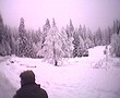 ID: 0225