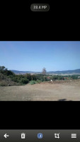 Samsung Galaxy Camera vs Nokia 808