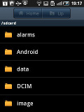 Samsung Galaxy Fit