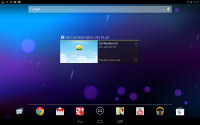 Samsung Google Nexus 10 P8110
