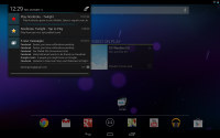 Samsung Google Nexus 10 P8110
