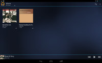 Samsung Google Nexus 10 P8110