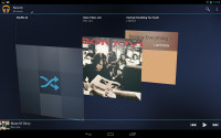 Samsung Google Nexus 10 P8110
