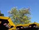 Samsung I7500 Galaxy camera sample