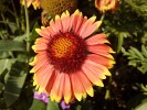 Samsung Omnia HD camera sample
