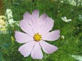 Sony Ericsson K770 photos