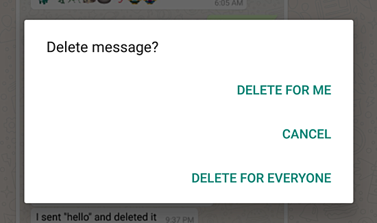 糊塗蟲救星：Whatsapp 正推送「刪除已發送訊息」功能；但有限時間！ 1