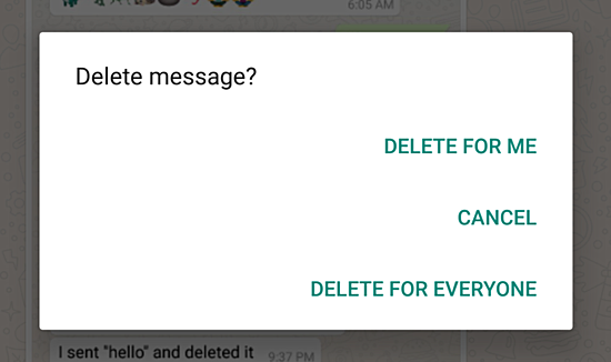 Whatsapp gets ability to delete message