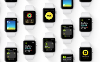 Six Apple Watch Series 4 models were registered with the EEC Six Apple Watch Series 4 models were registered with the EEC