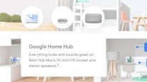 Nest Hub Max details