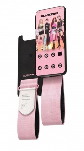 Blackpink case