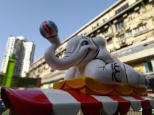 Portrait mode - f/2.2, ISO 100, 1/870s - Asus Zenfone Max Pro M1 review
