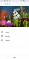 Display modes - Google Pixel 3 review